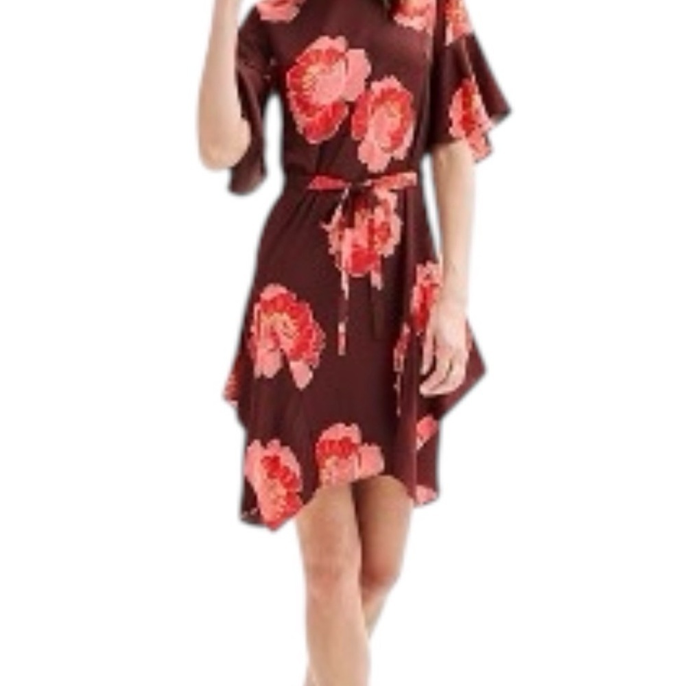 Nicole Miller Brown Floral Ruffle Sleeve Dress Pink Red Print Size 12 NWT